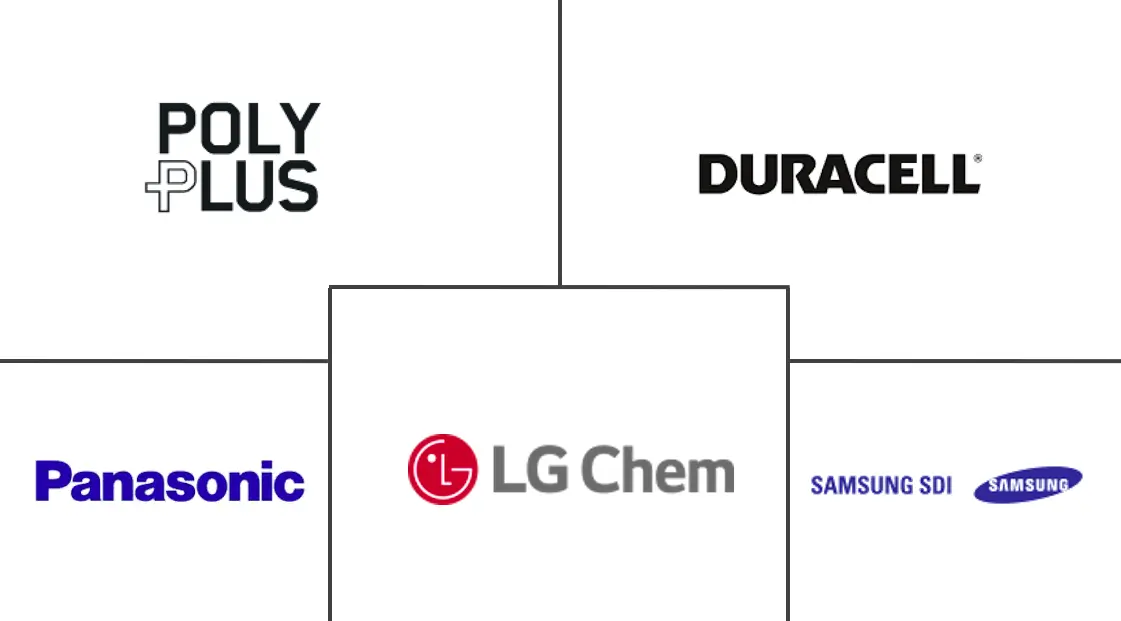 Hauptakteure des nordamerikanischen Marktes für Verbraucherbatterien