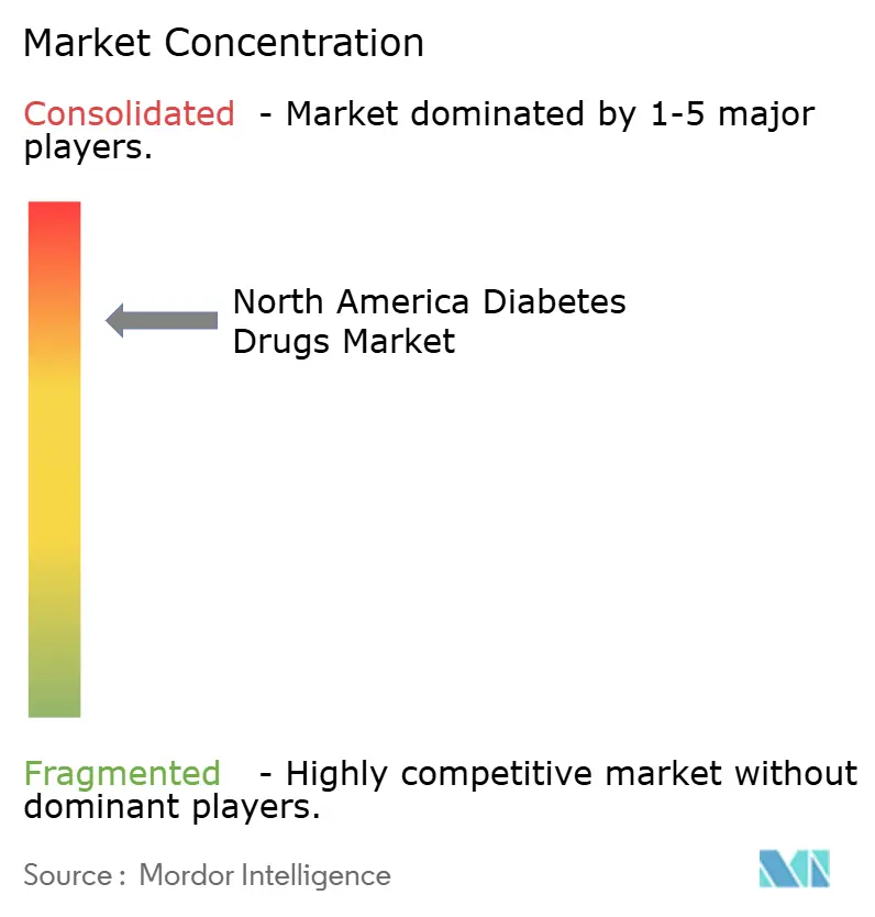 North America Diabetes Drugs Market Concentration