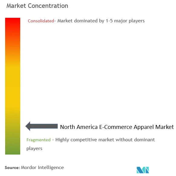 North America E-Commerce Apparel Market Concentration