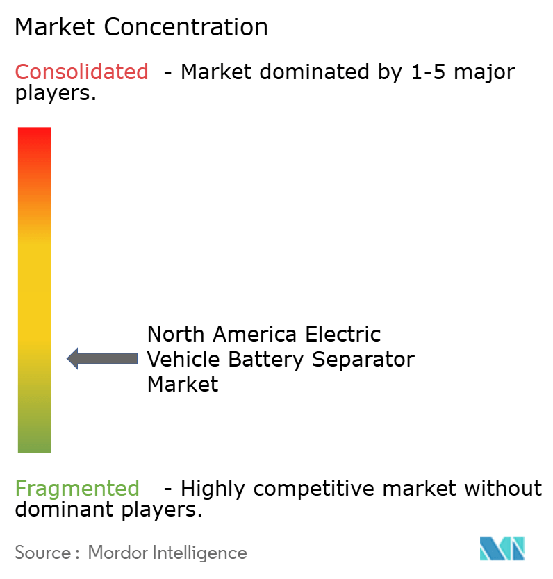 North America Electric Vehicle Battery Separator Market Concentration