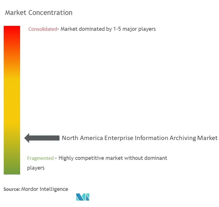 North America Enterprise Information Archiving Market Concentration