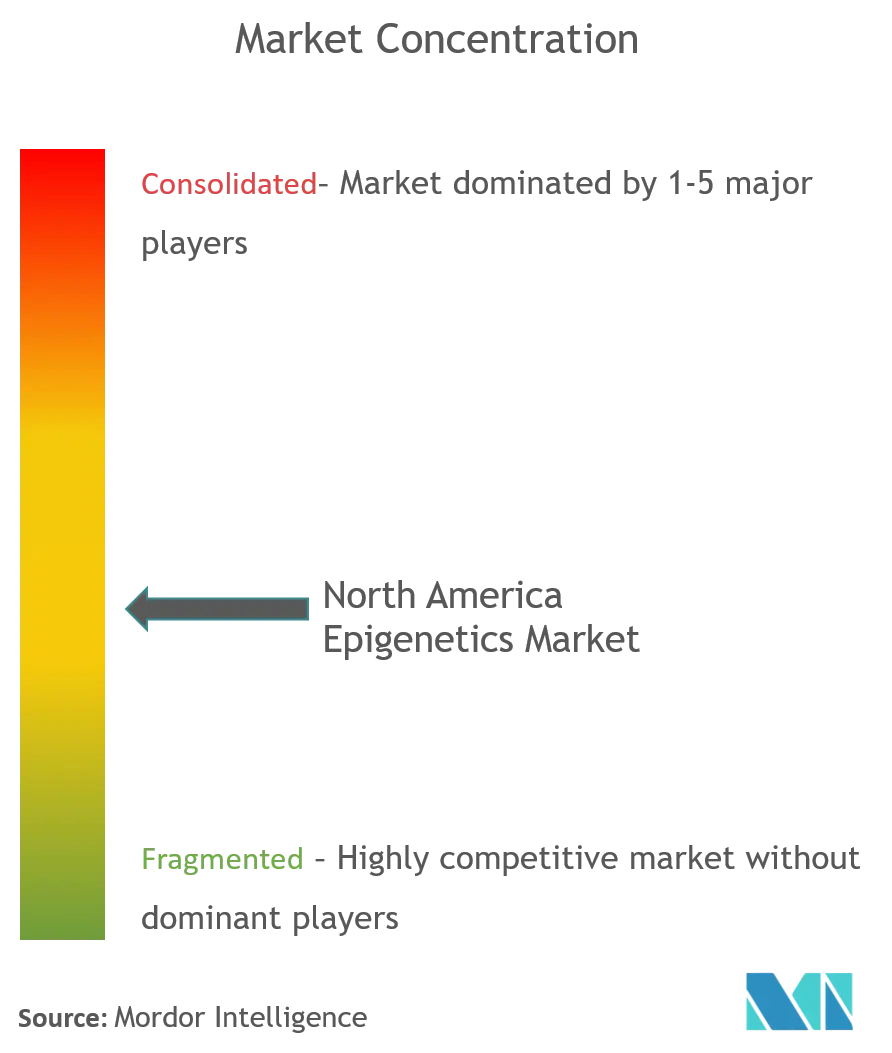 North America Epigenetics Market Concentration