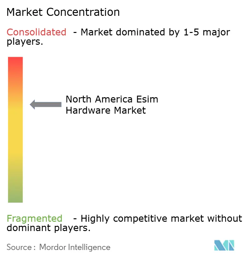 North America Esim Hardware Market Concentration