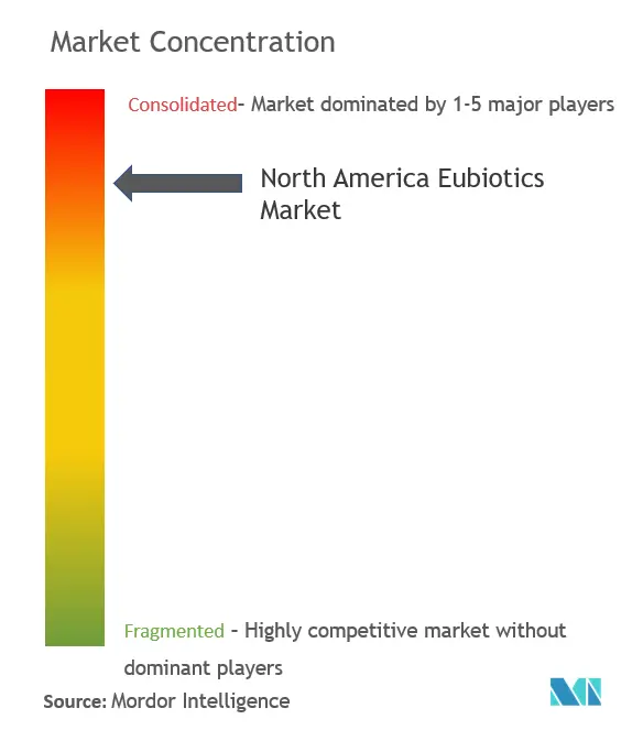 North America Eubiotics Market Concentration