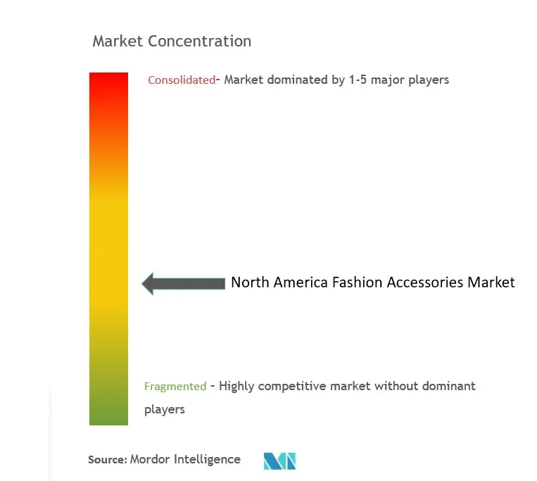 North America Fashion Accessories Market Concentration