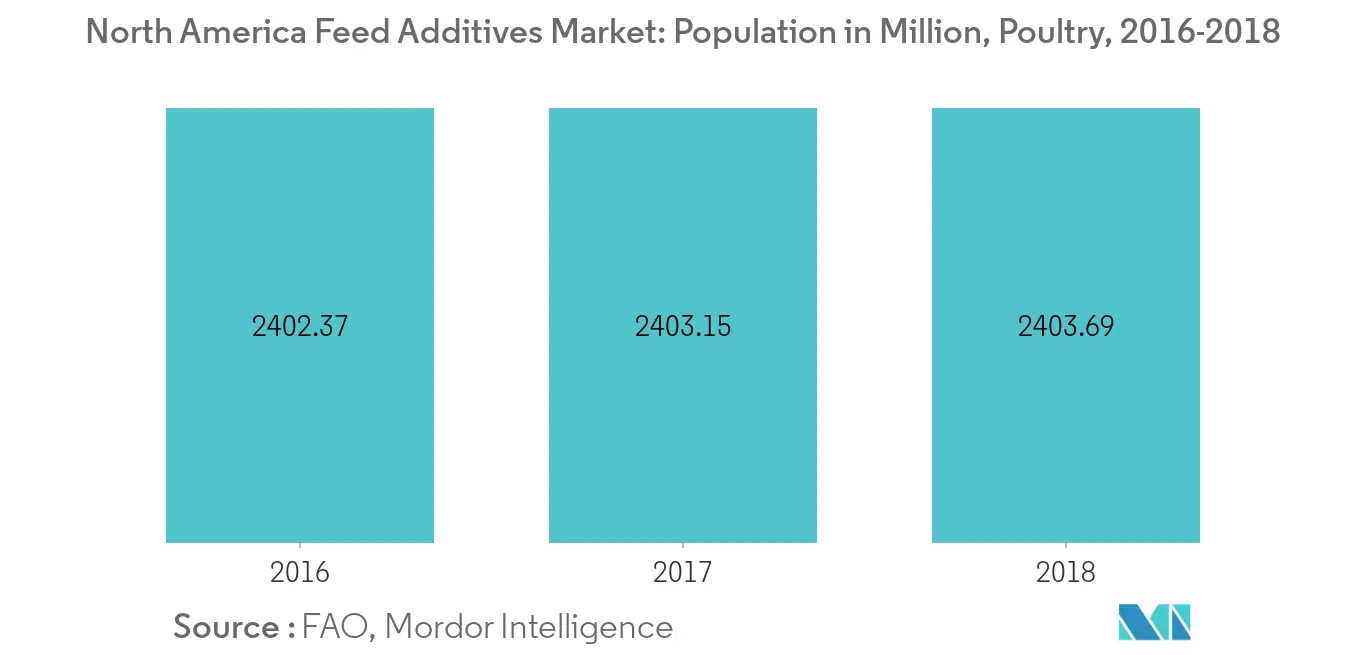 North America Feed Additives Market Share
