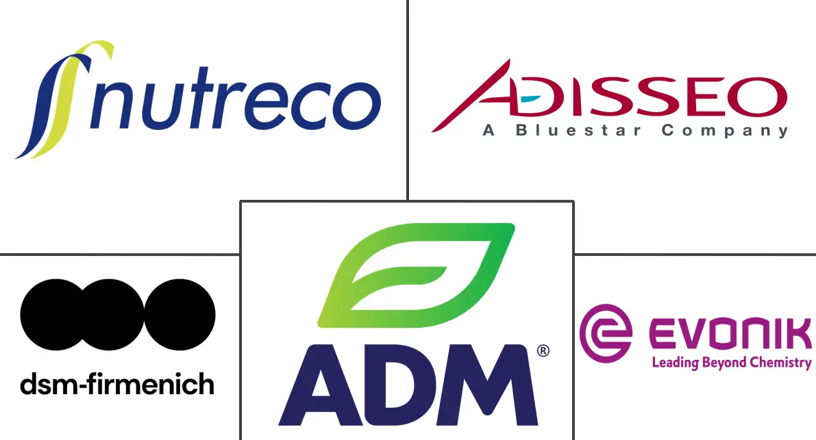 Major players in North America Feed Additives industry