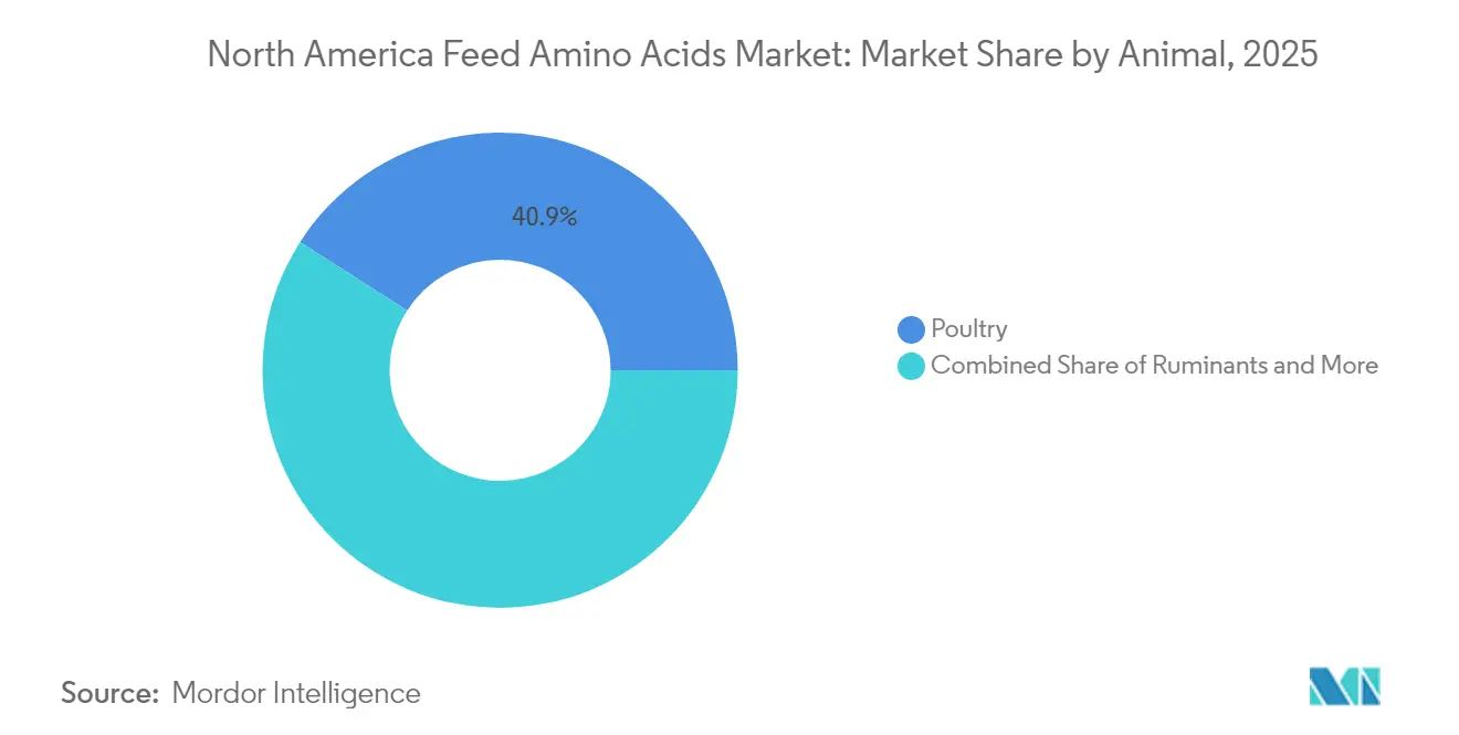 North America Feed Amino Acids Market: Market Share by Animal, 2025
