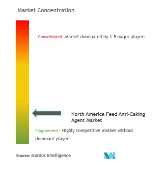 North America Feed Anti-Caking Agents Market Concentration