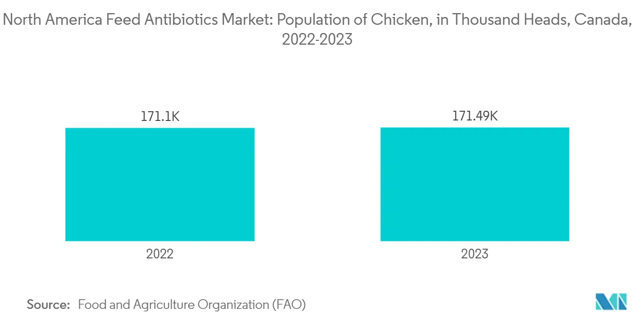 북미 바카라 나락 항생제 시장: 닭 개체 수, 천 마리, 캐나다, 2022-2023
