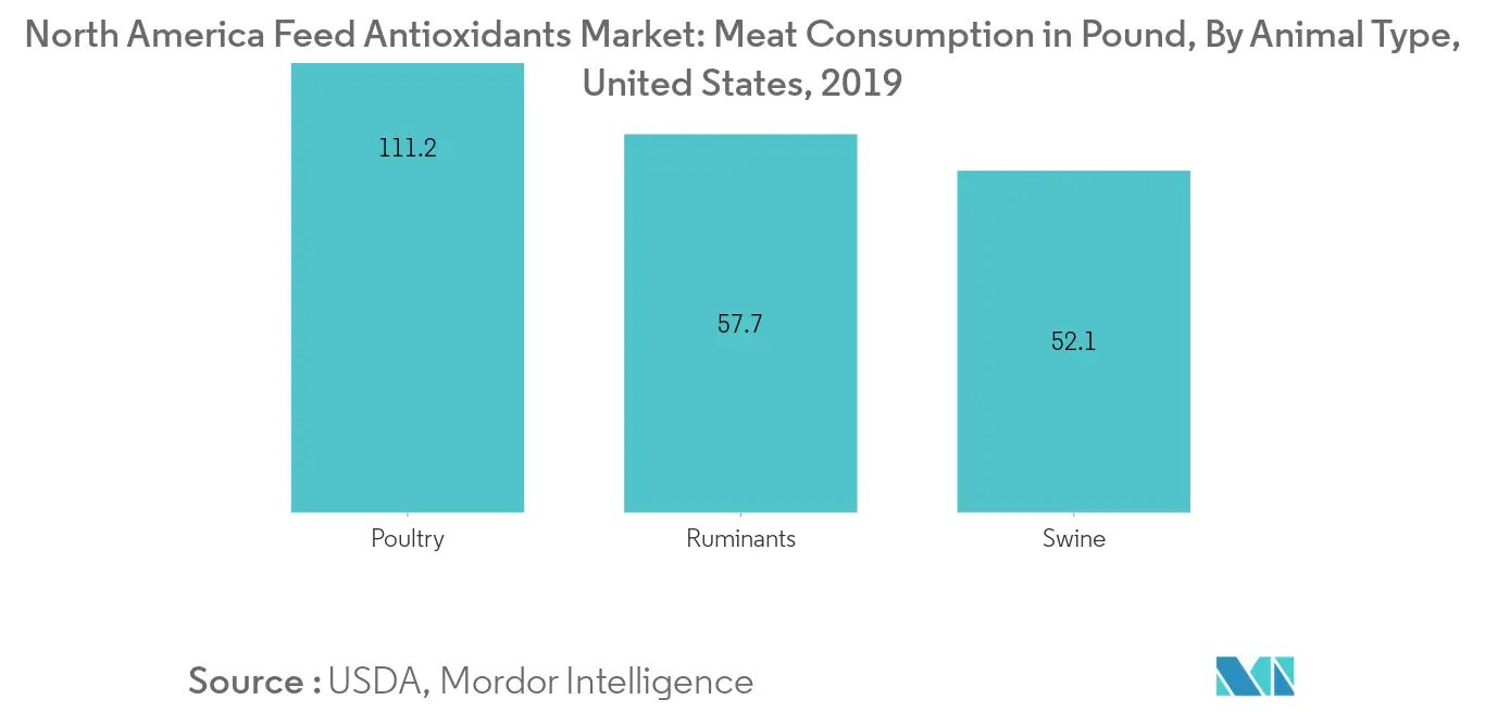 Markt für Futtermittel-Antioxidantien in Nordamerika, Fleischkonsum, in Pfund, 2019