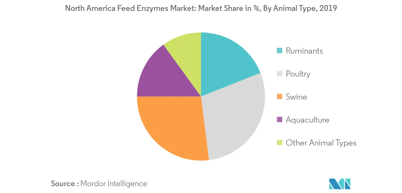 North America Feed Enzymes Market