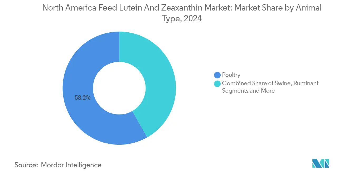 North America Feed Lutein And Zeaxanthin Market: Market Share by Animal Type