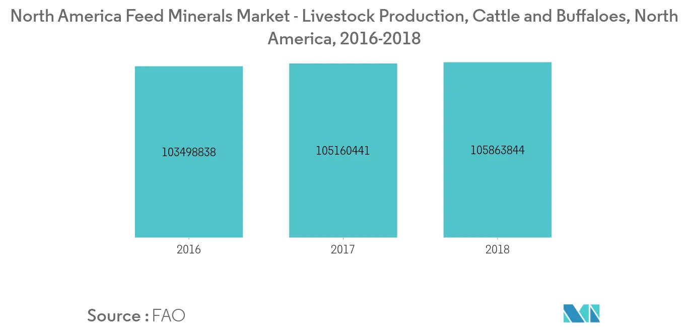 North America Feed Minerals Market - Livestock Production, Cattle and Buffaloes, North America, 2016-2018