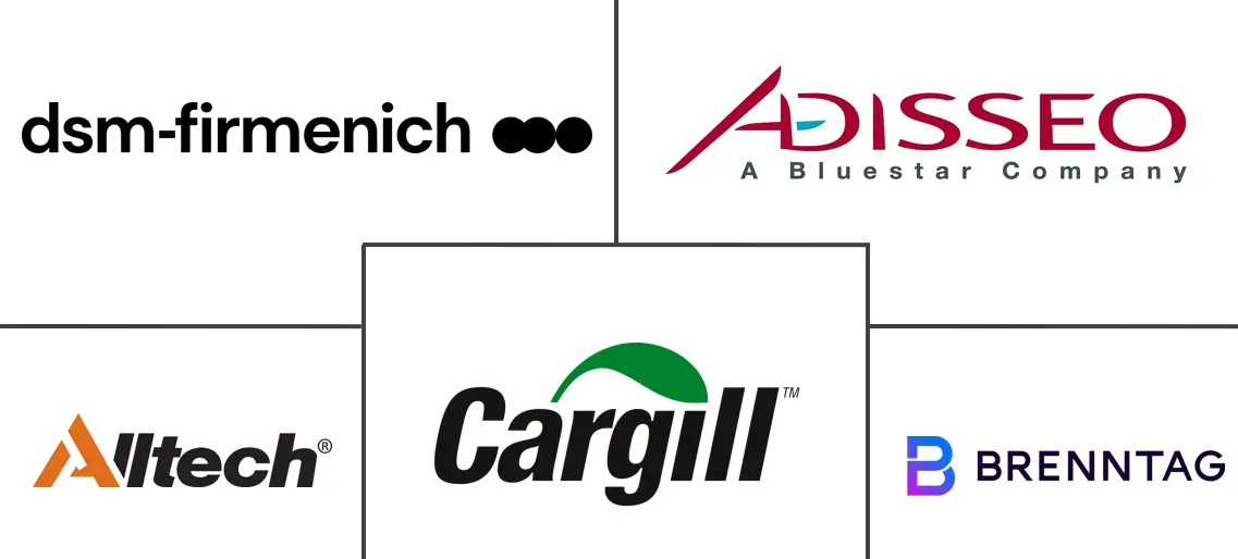 Major players in North America Feed Mycotoxin Detoxifiers industry