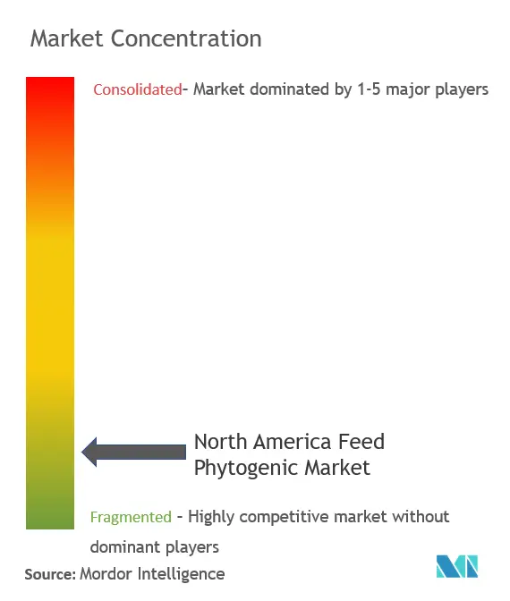 Fitógenos para piensos de América del NorteConcentración del Mercado