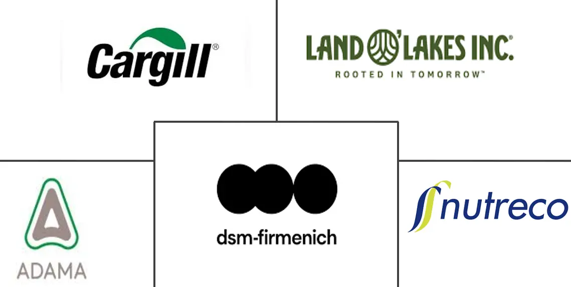 Related Companies Logo