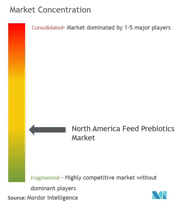 North America Feed Prebiotics Market Concentration