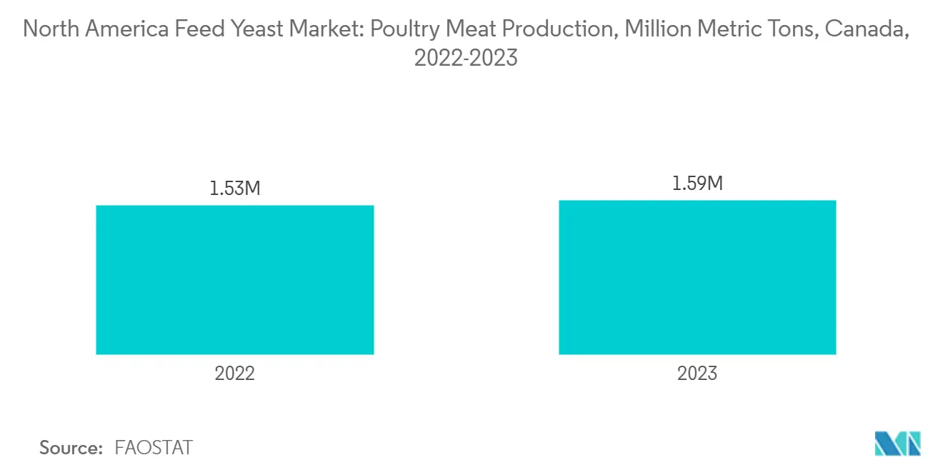 북미 바카라 대박 디시 효모 시장: 가금류 육류 생산, 백만 톤, 캐나다, 2022-2023