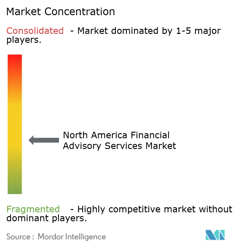 Concentrazione del mercato dei servizi di consulenza finanziaria in Nord America
