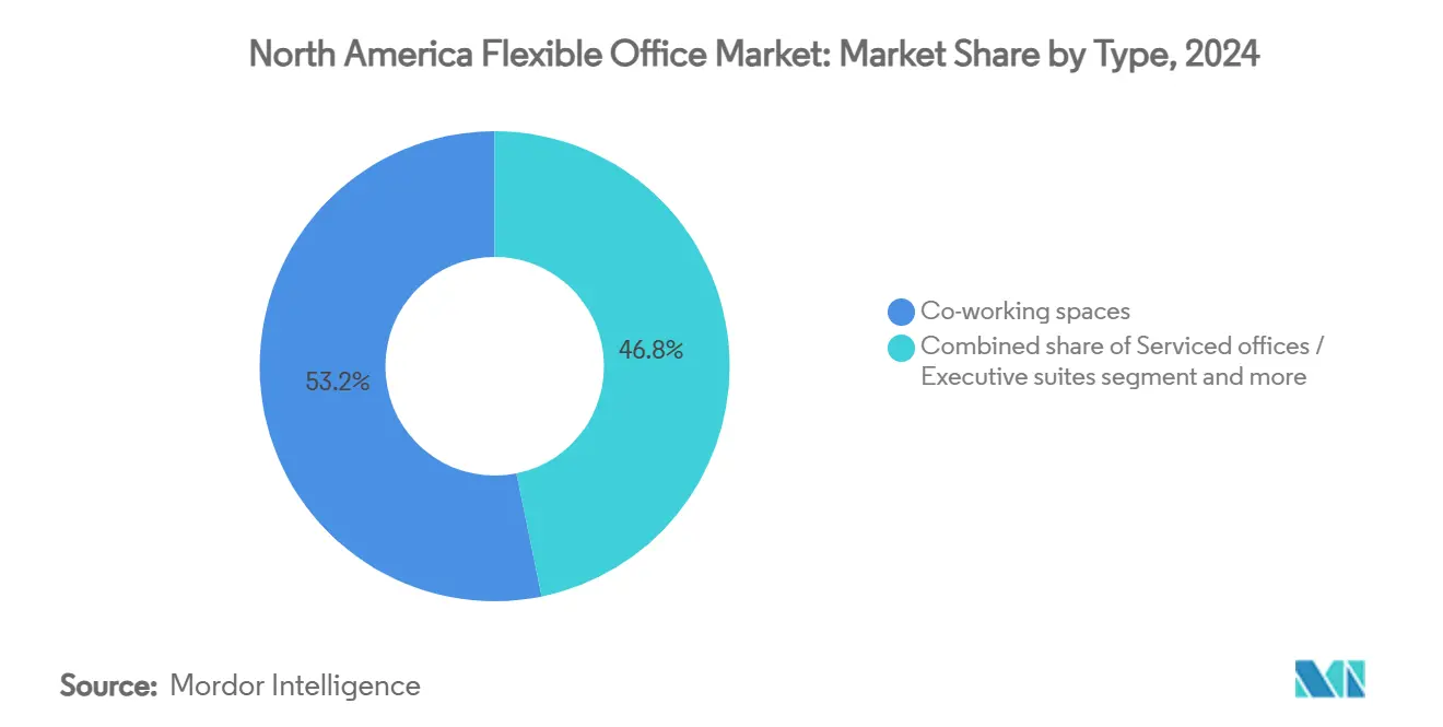 North America Flexible Office Market: Market Share by Type