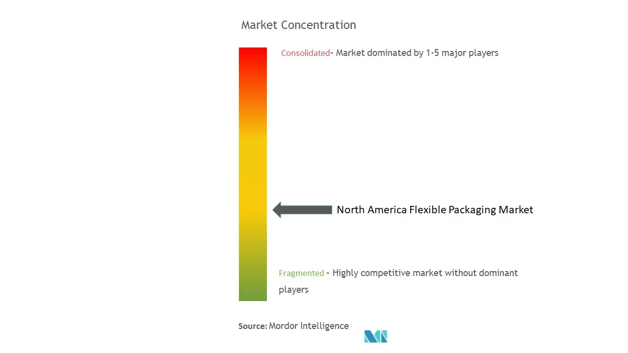 Concentração do mercado de embalagens flexíveis da América do Norte