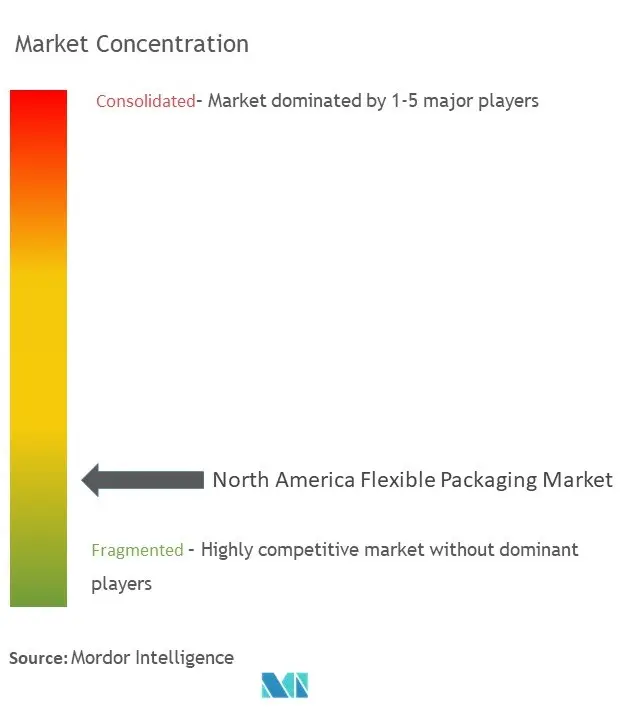 North America Flexible Packaging Market Concentration