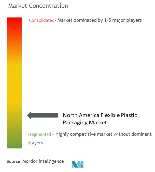 North America Flexible Plastic Packaging Market Concentration