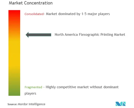 Impresión flexográfica de América del NorteConcentración del Mercado