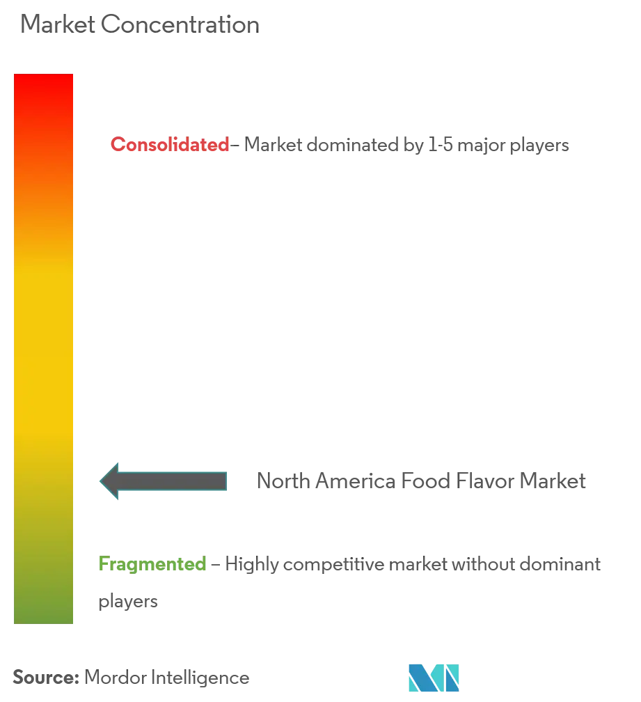 North America Food Flavor Market Concentration