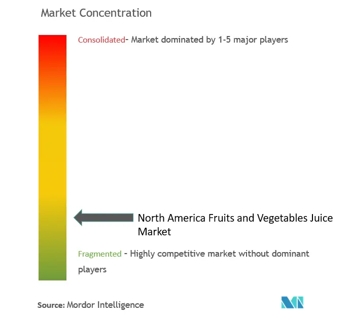 North America Fruits and Vegetables Juice Market Concentration