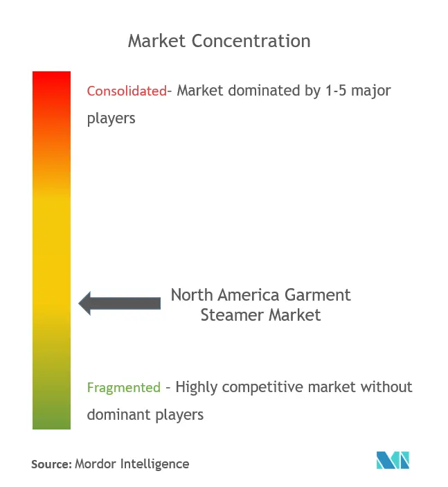 North America Garment Steamers Market Concentration