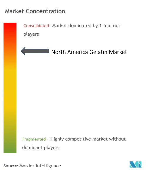 Gélatine Amérique du NordConcentration du marché
