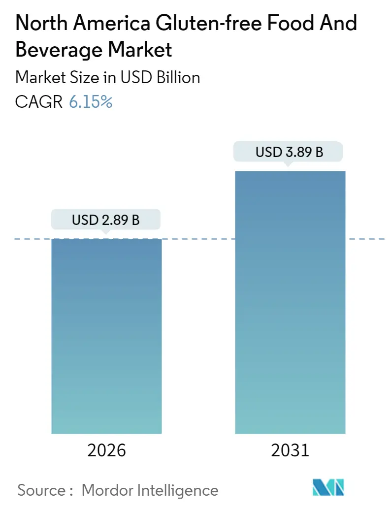 North America Gluten-free Food And Beverage Market Summary