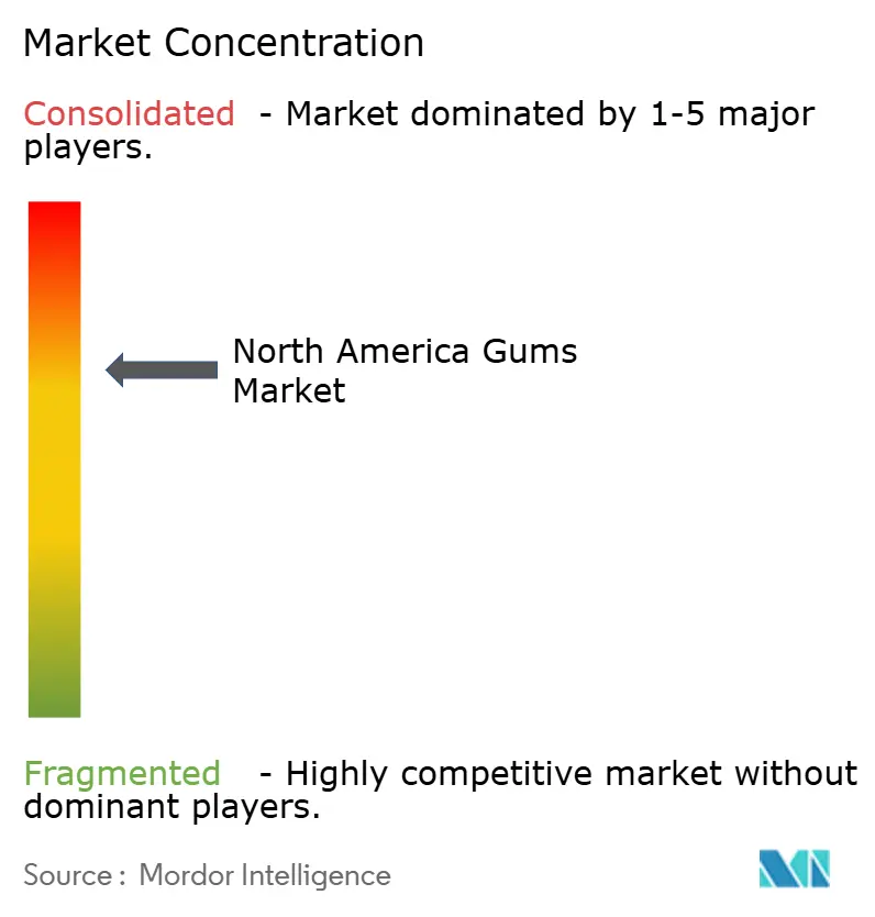 North America Gums Market Concentration
