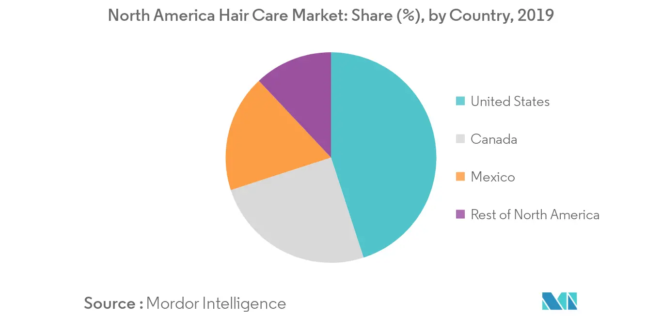 North America Haircare Market Trends