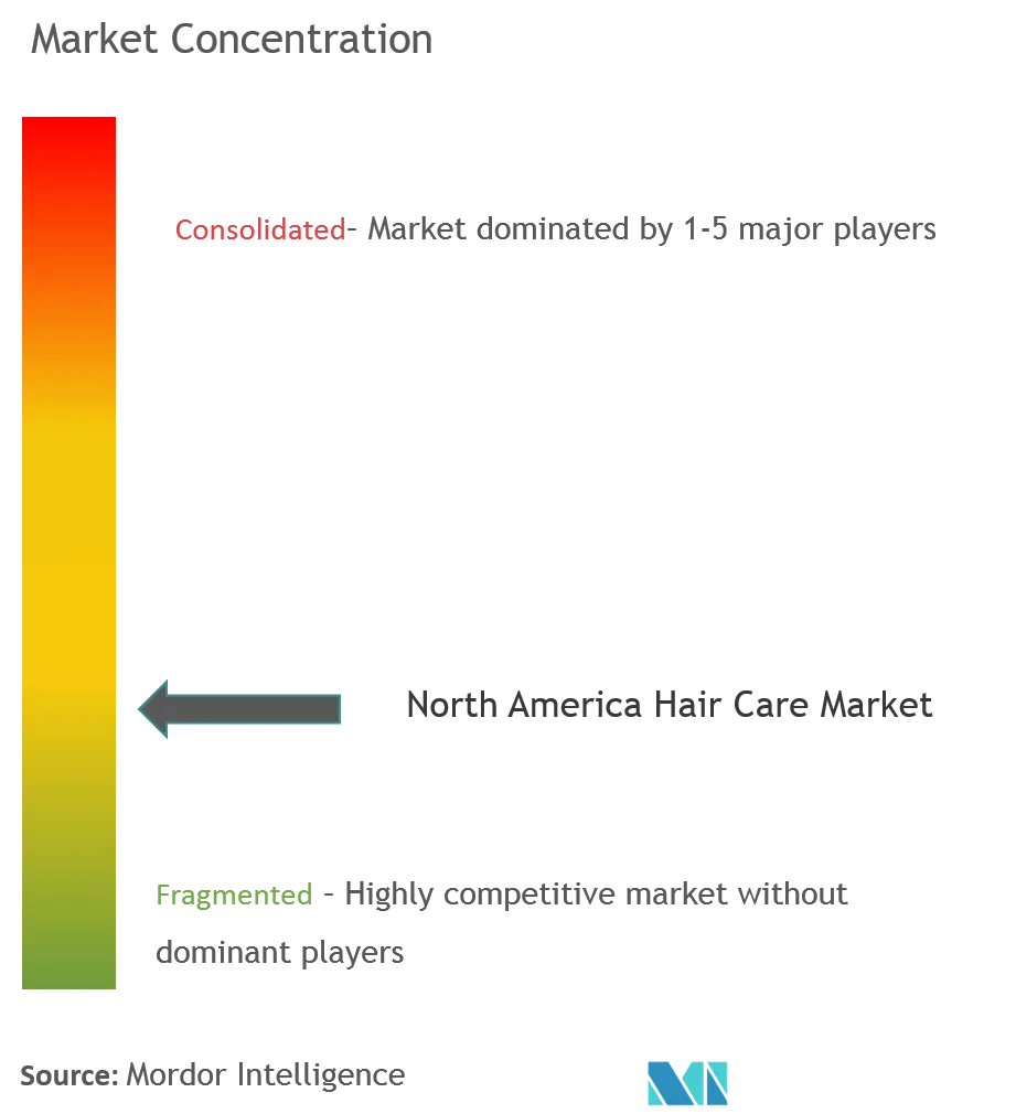 North America Hair Care Market Concentration