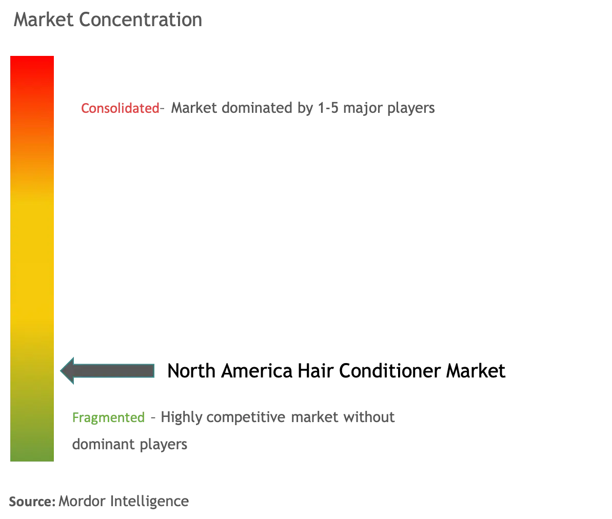 North America Hair Conditioner Market Concentration