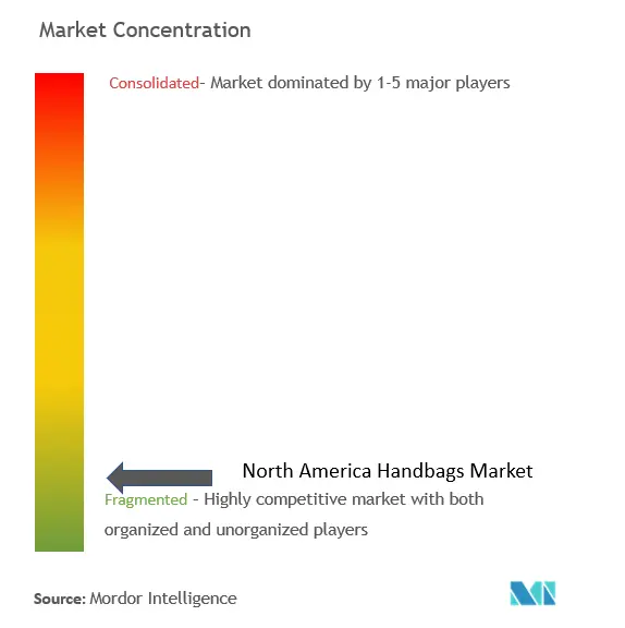 North America Handbag Market Concentration