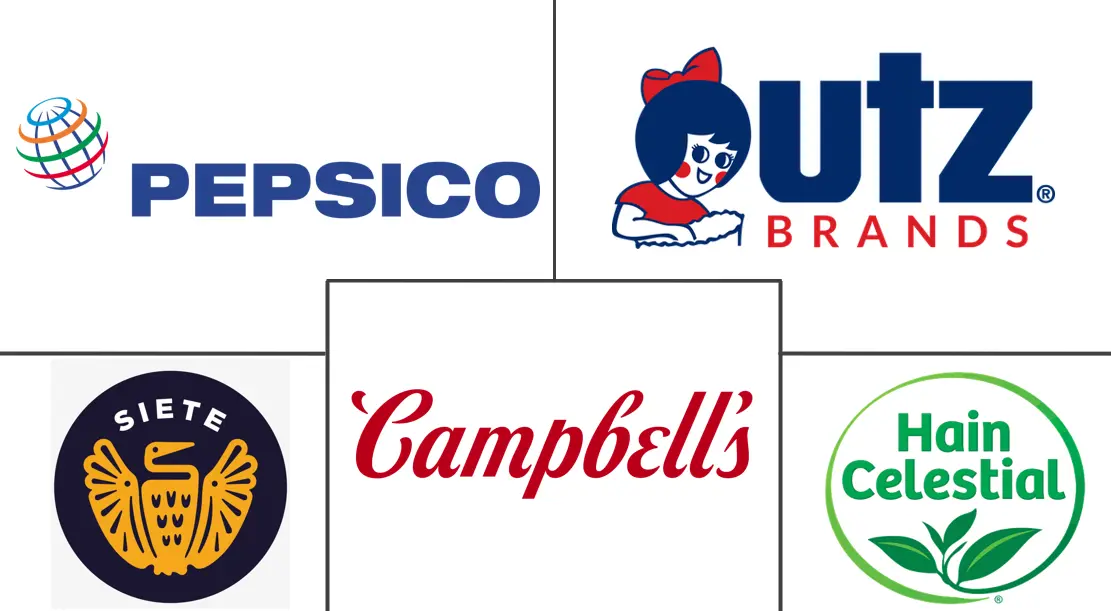 Major players in North America Healthy Snack Chips industry