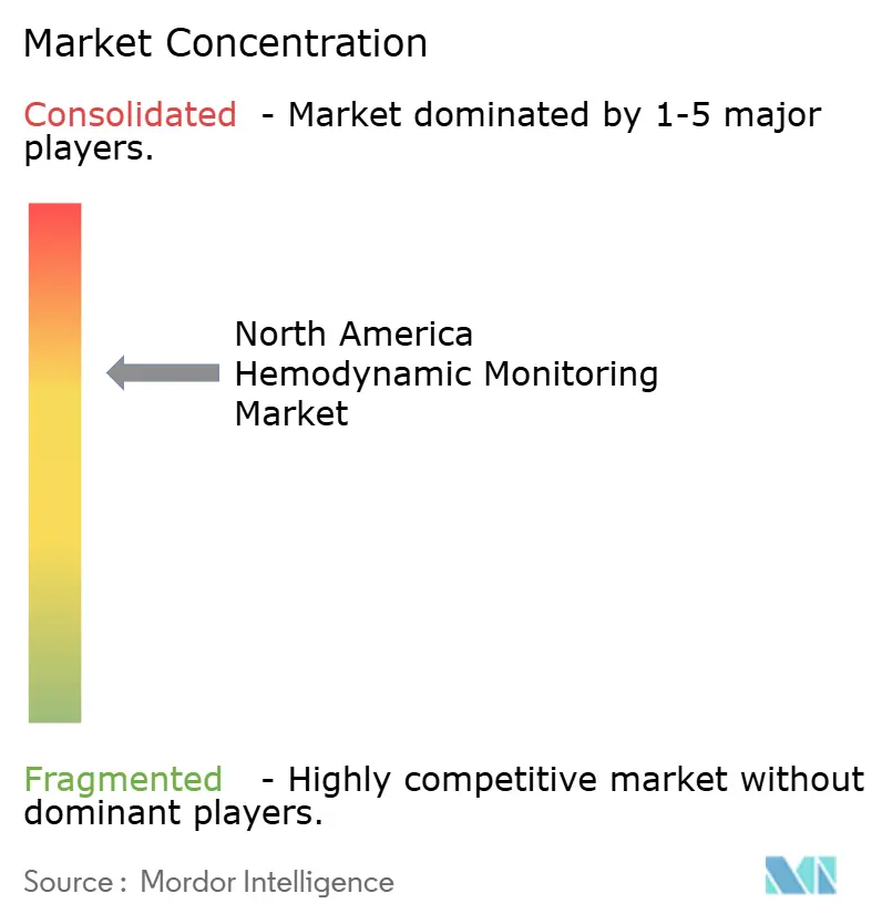 North America Hemodynamic Monitoring Market Concentration