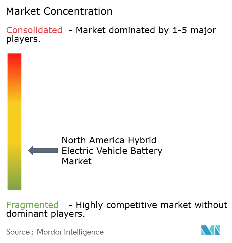 North America Hybrid Electric Vehicle Battery Market Concentration