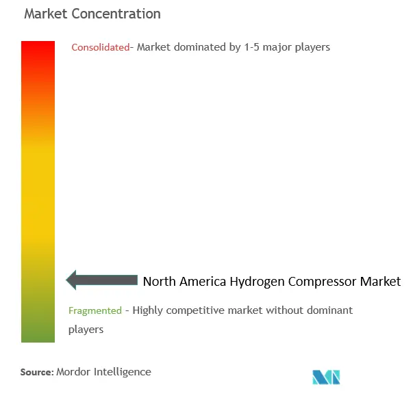 北米水素圧縮機市場集中度