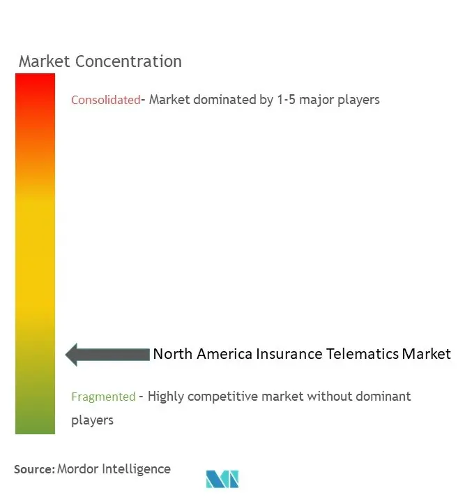 北米保険テレマティクス市場の集中度