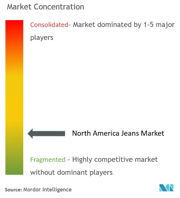 North America Jeans Market Concentration