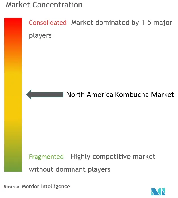 North America Kombucha Market Concentration