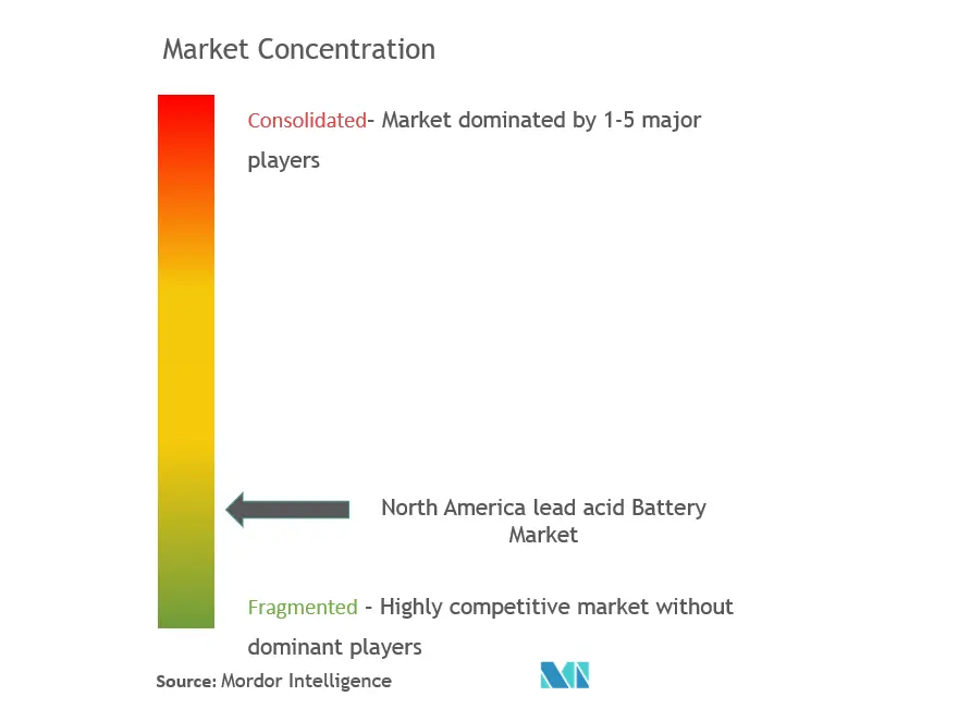 North America Lead Acid Battery Market Concentration
