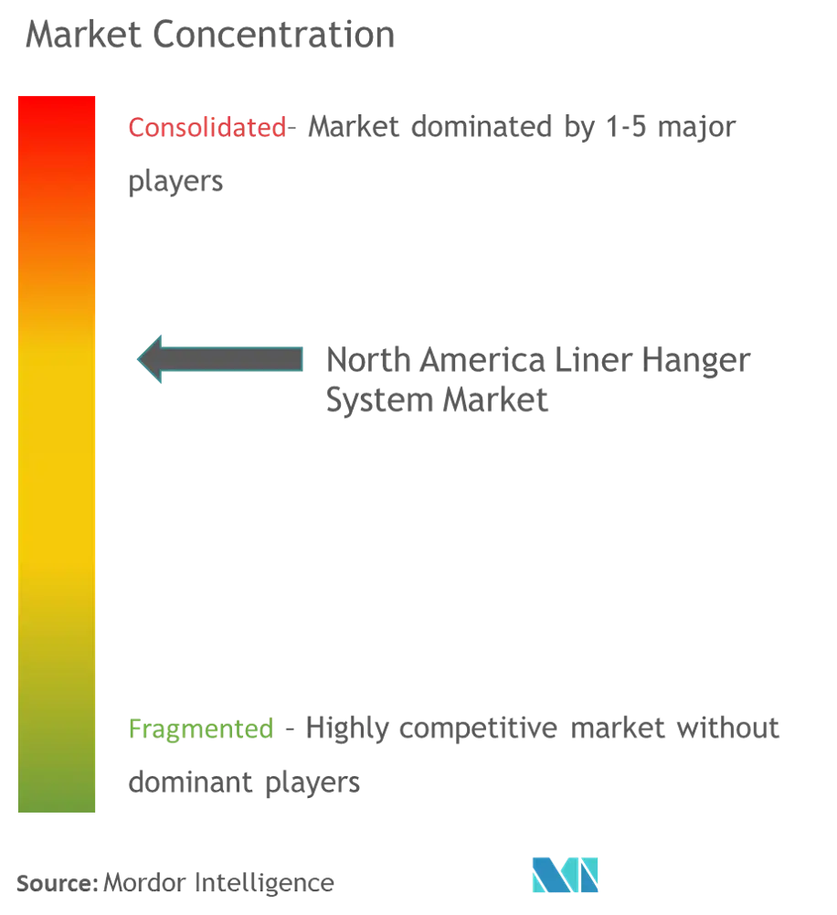 North America Liner Hanger System Market Concentration