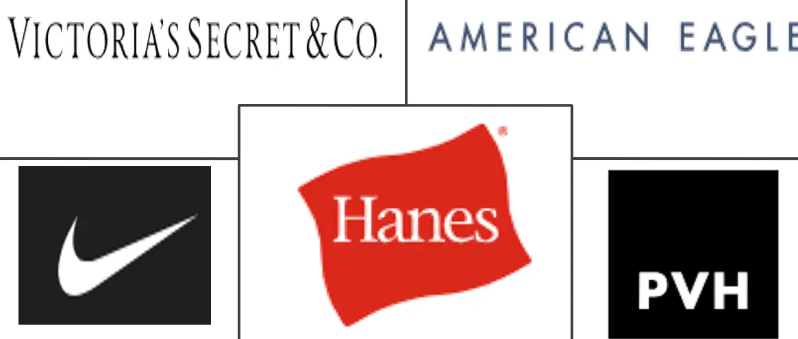 Principais participantes em Mercado de Lingerie da América do Norte indústria