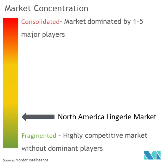 North America Lingerie Market Concentration